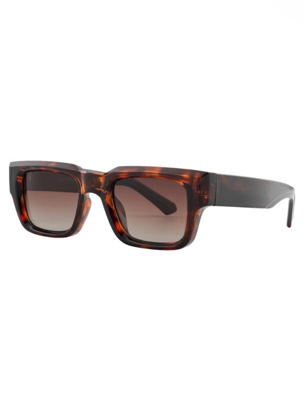Ryan Simkhaie Polarized Cade Tortoise Sunglasses Brown Lens NWT Classic Frame